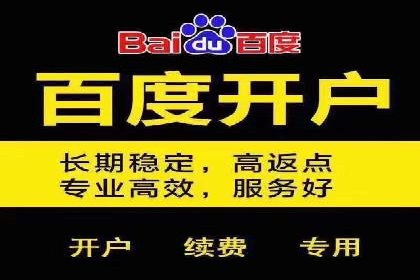 解析百度搜索推广的广告投放策略及效果